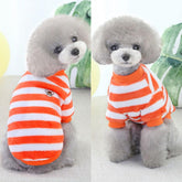 KUTKUT Pack of 2Pcs Dog Sweaters for Small Dogs Cats, Dog Clothes for Small Dogs Cat Girl Boy-Fleece Fall Dog Sweater for Chiuhuahua, Yorkshire, Toypom etc-T-Shirt-kutkutstyle